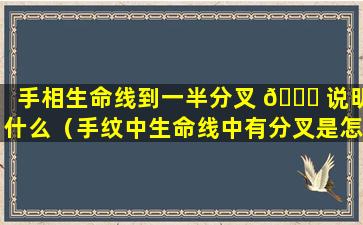 手相生命线到一半分叉 🐛 说明什么（手纹中生命线中有分叉是怎么回事）